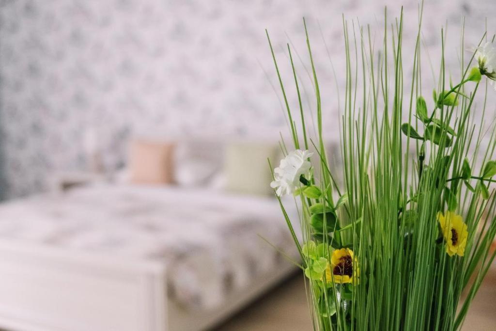Apartment Silena Uzhhorod